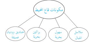 شكل قاع البحار والمحيطات