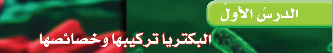 الدرس الأول: البكتريا تركيبها وخصائصها