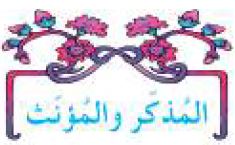 الدرس الخامس: المذكر والمؤنث