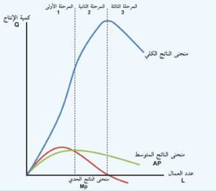 مراحل الانتاج وقانون الغلة