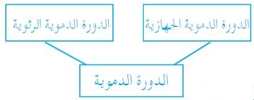 مكونات الدم