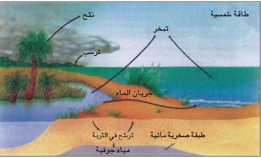 دورة الماء في الطبيعة