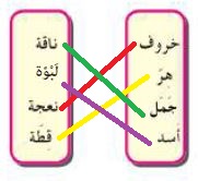 توصيل الاسم المذكر مع الاسم المؤنث