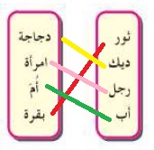 توصيل الاسم المذكر مع الاسم المؤنث